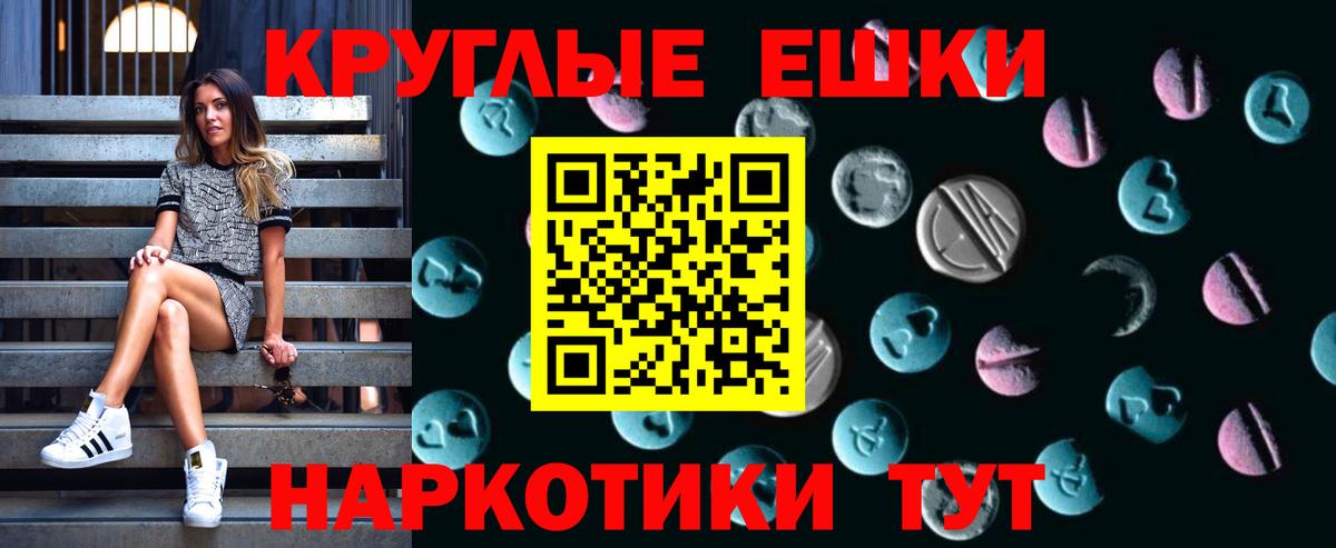 Тимашёвск  Ecstasy Philipp Plein  Вход с VPN  Ecstasy Дубай 